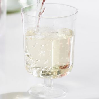 1064 x Clear Plastic Disposable Wine Glass On Stem -100ml